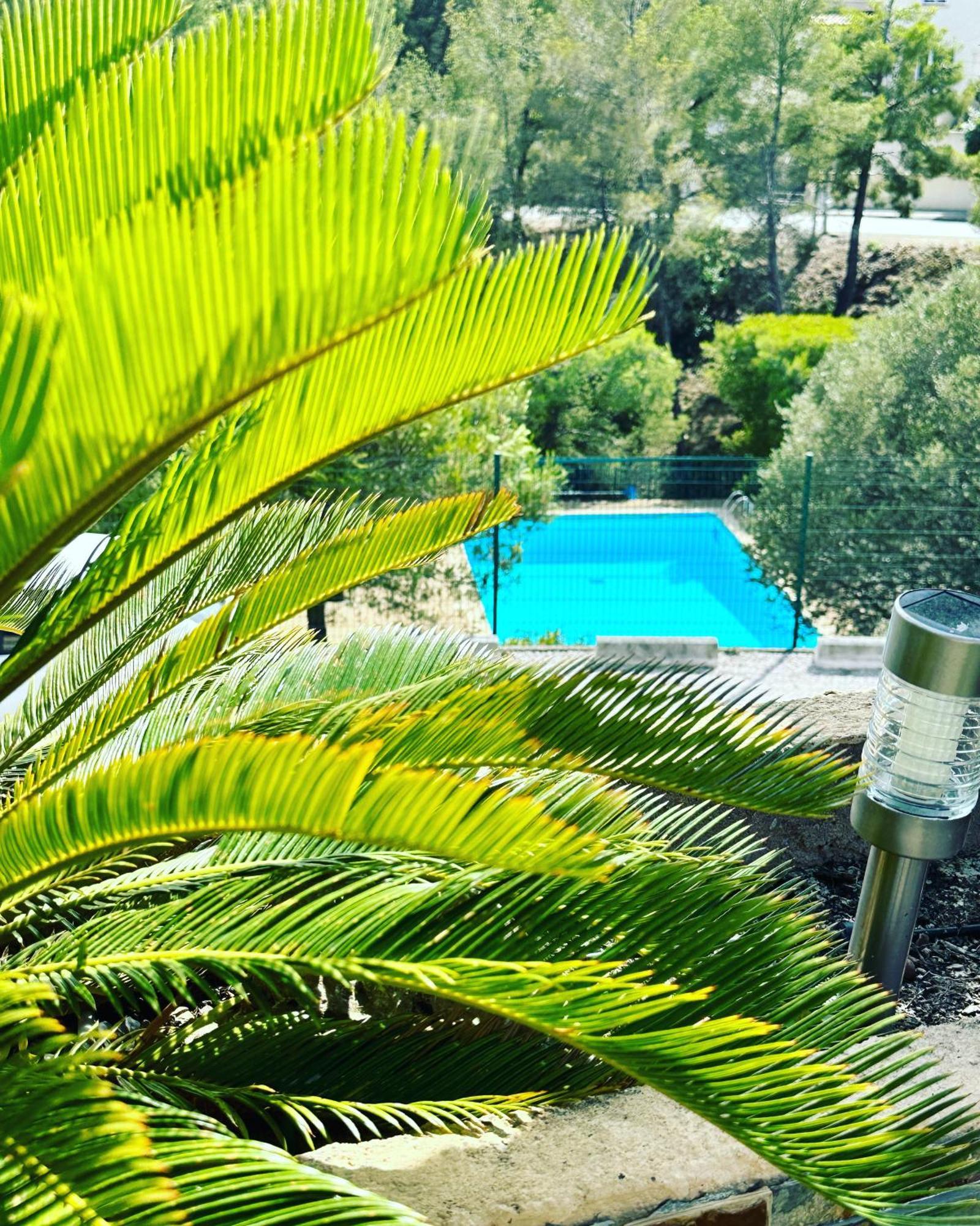 Vuemer Bandol - Grande Terrasse De 45M2 Vue Mer Piscine Parking Bagian luar foto